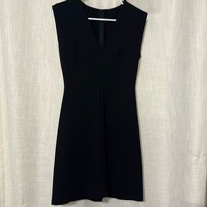 Everlane woman’s dress